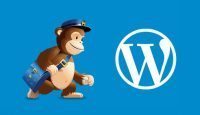 mailchimp for promo code