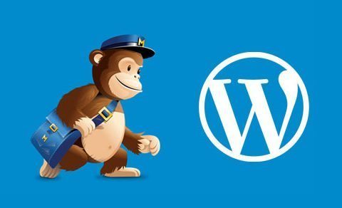 mailchimp for promo code